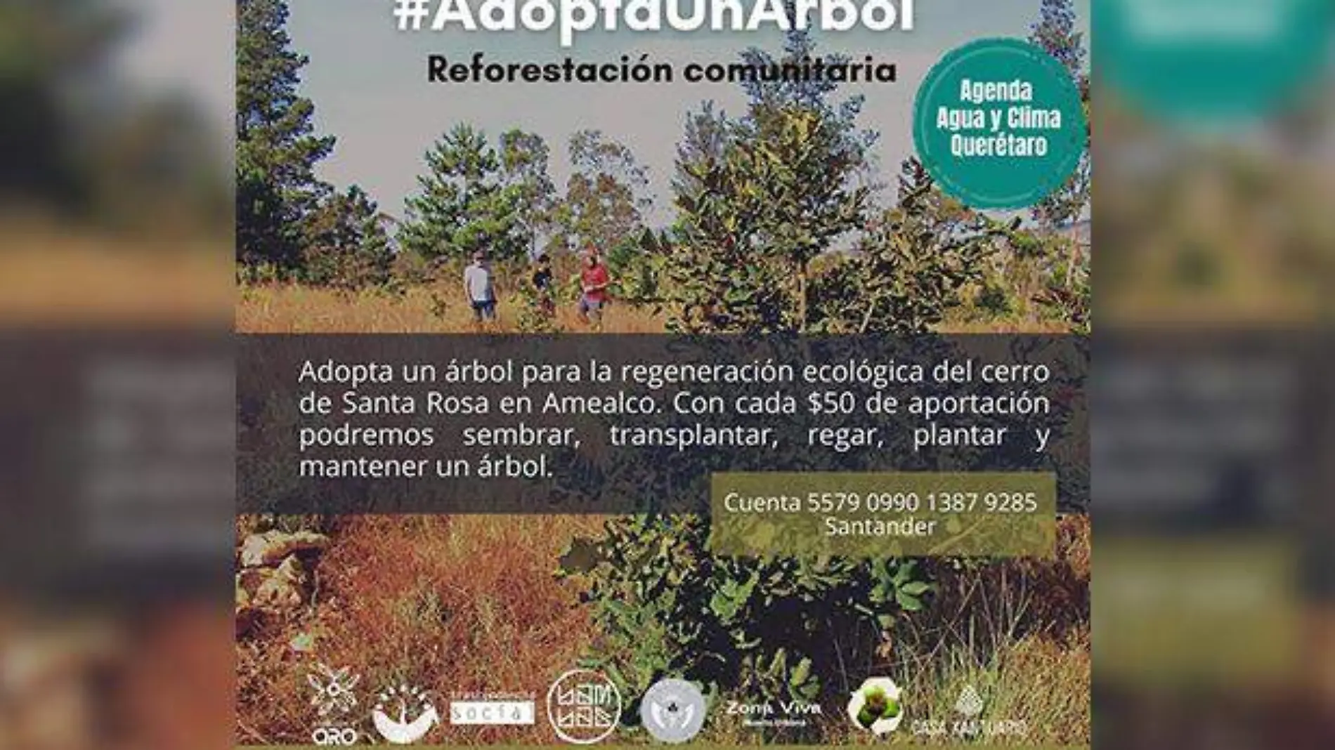 Adopta un arbol